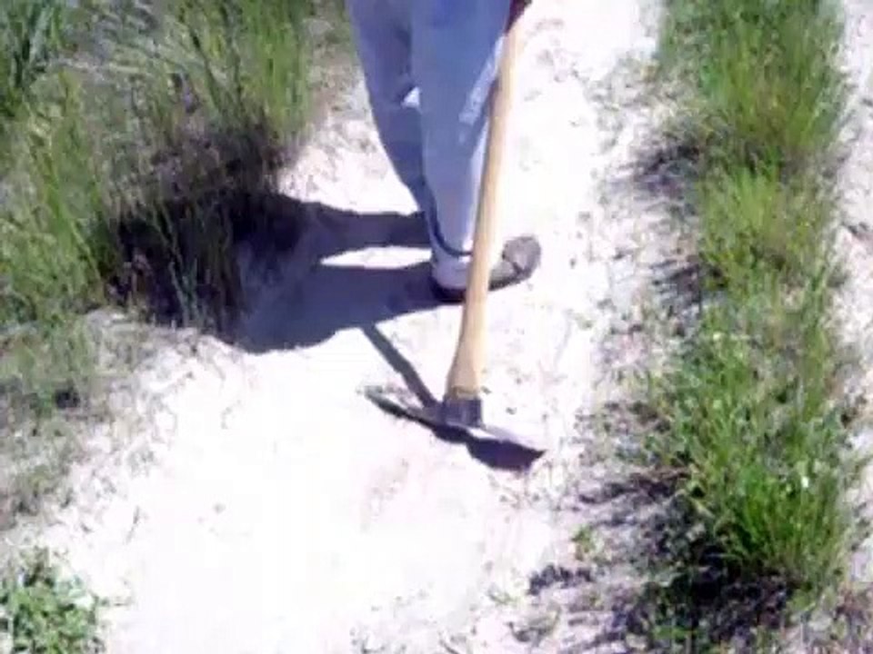 The Hills Have Eyes 3 | movie | 1995 | Official Trailer