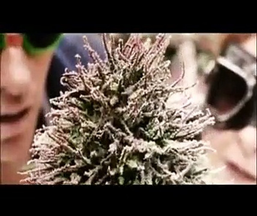 Grasgeflüster | movie | 2000 | Official Trailer