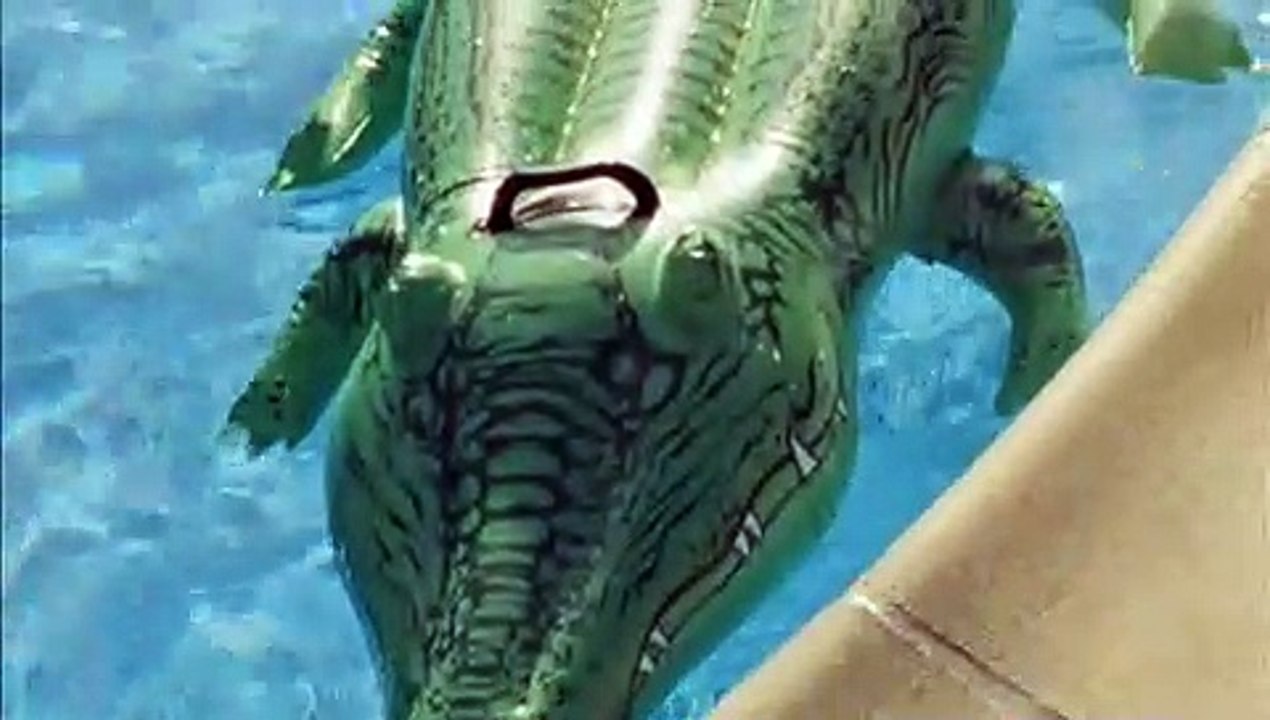 Tausend Ozeane | movie | 2008 | Official Trailer