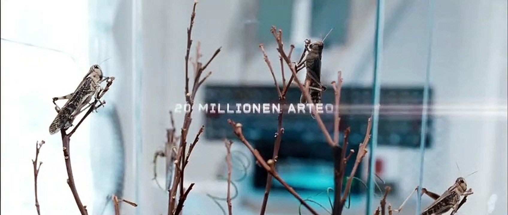 Pandorum | movie | 2009 | Official Trailer