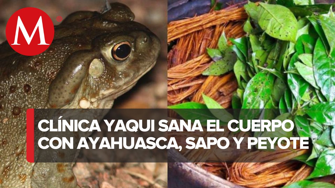 Clamor por la libertad del curandero peruano