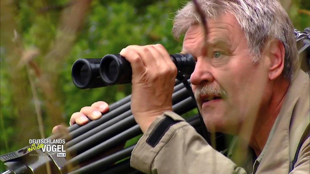 Deutschlands wilde Vögel | movie | 2013 | Official Trailer