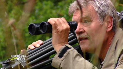 Deutschlands wilde Vögel | movie | 2013 | Official Trailer