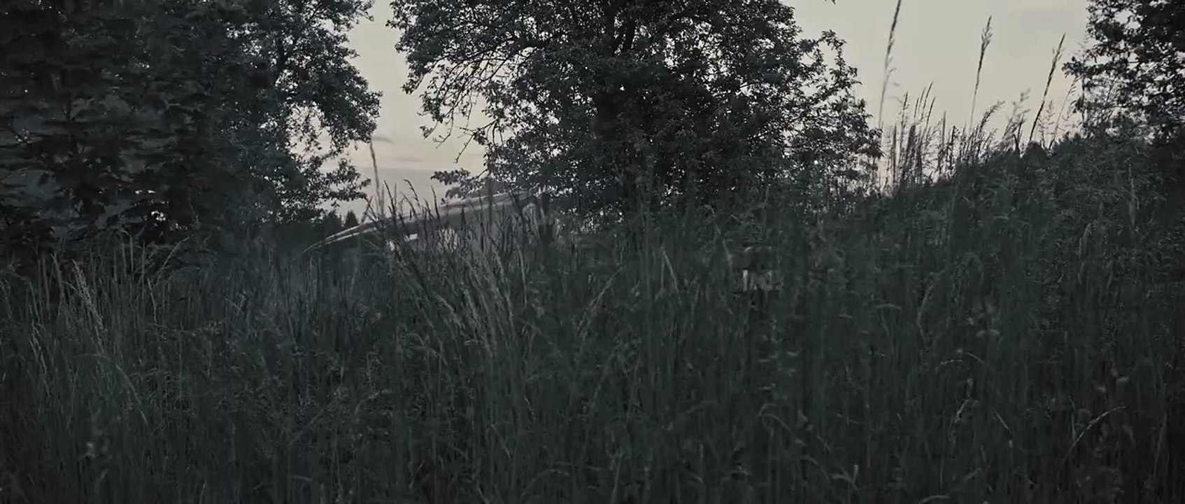 V zajetí sítě | movie | 2019 | Official Teaser