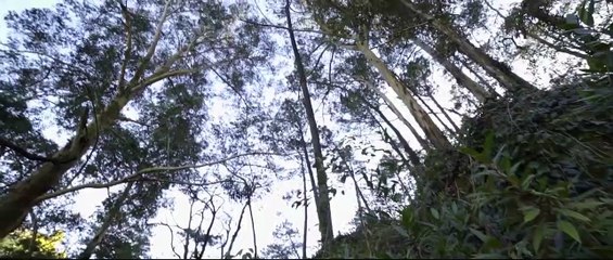 Go Think Somewhere Else | movie | 2019 | Official Teaser