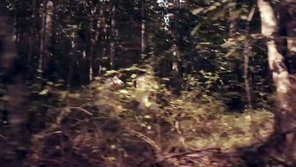 The West is a Land of Infinite Beginnings | movie | 2021 | Official Trailer