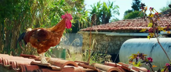 Curral de Moinas - Os Banqueiros do Povo | movie | 2022 | Official Trailer