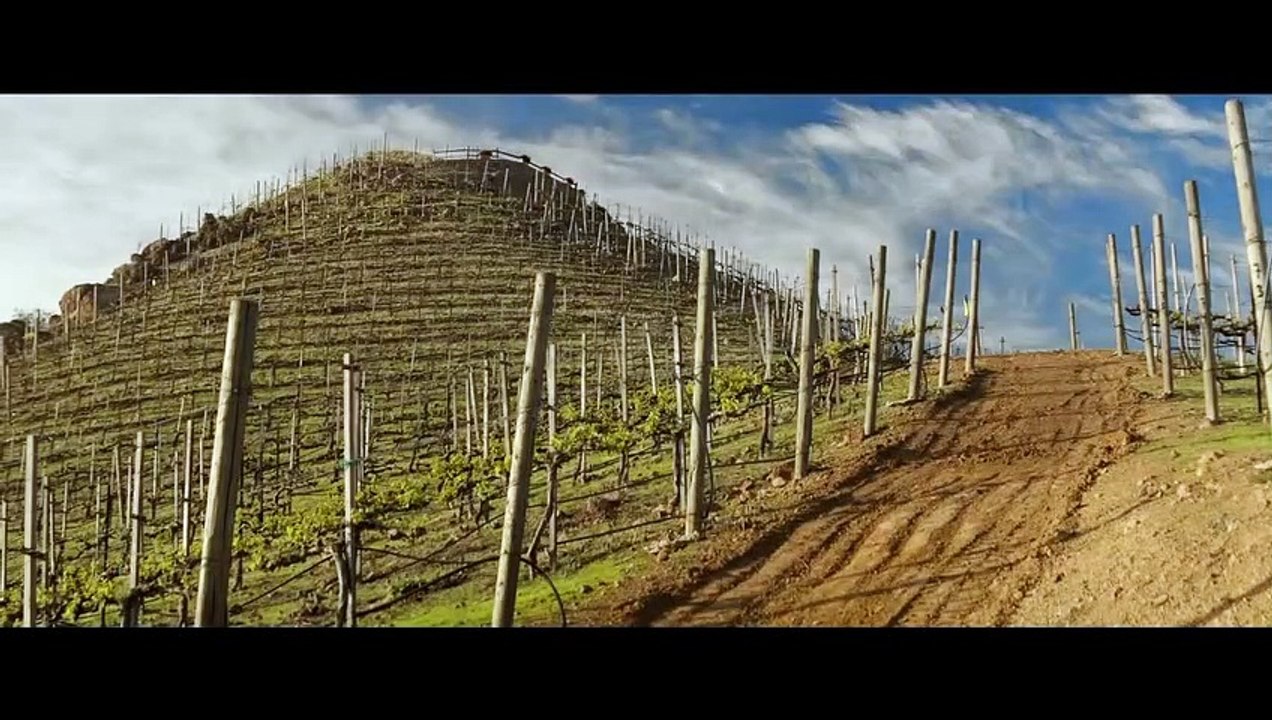 Visions | movie | 2015 | Official Trailer