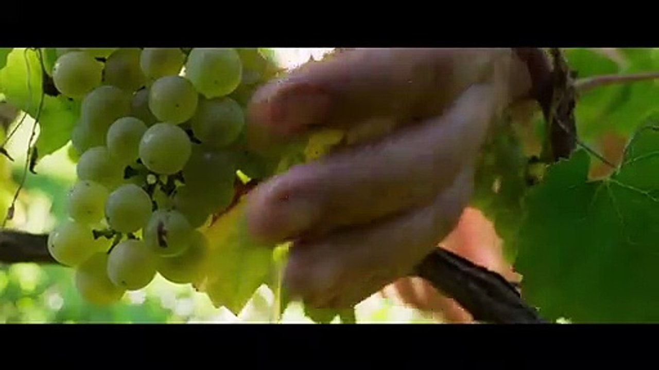 Der Wein und der Wind | movie | 2017 | Official Trailer