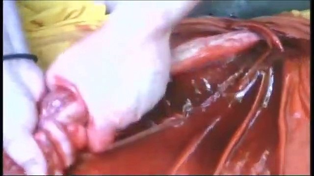 Deadly Dares: Truth or Dare Part IV | movie | 2011 | Official Teaser