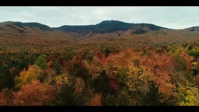 Paint Bande-annonce VO