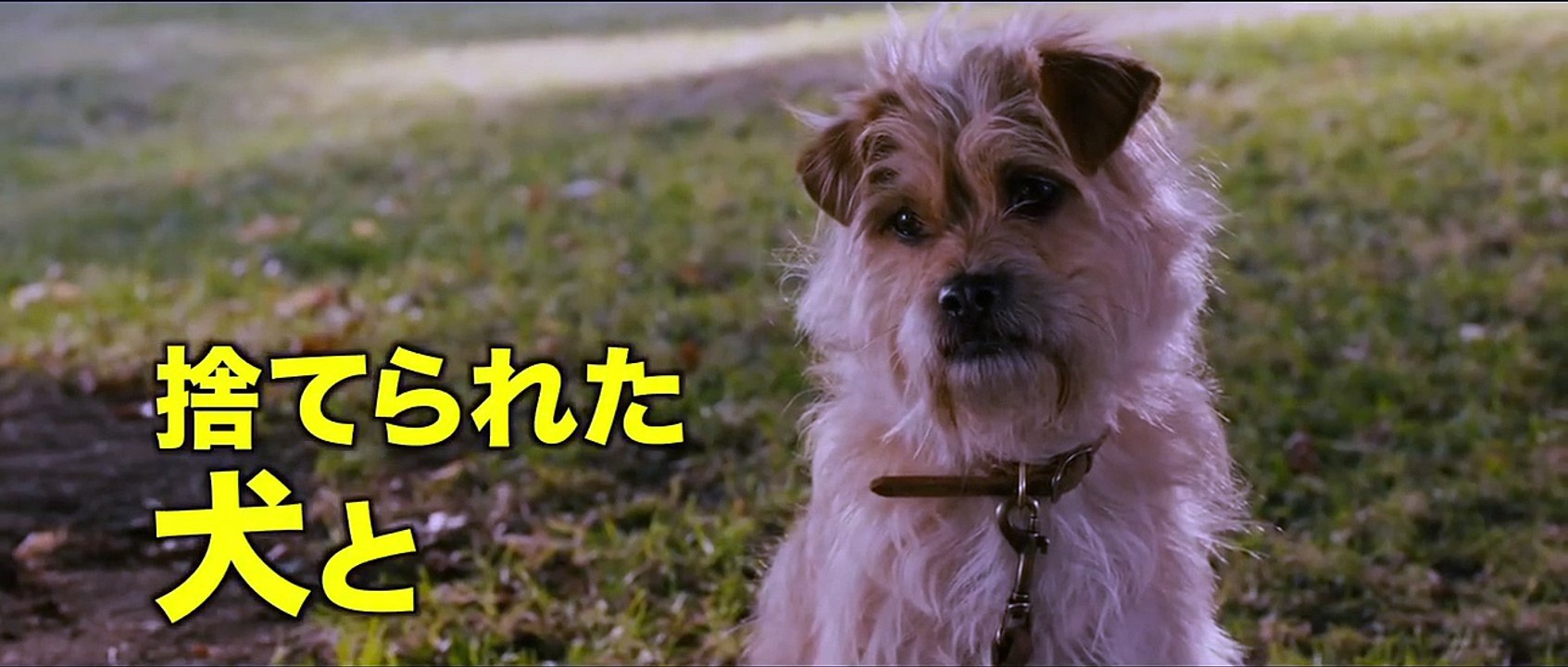 エンド・オブ・ザ・ワールド | movie | 2012 | Official Trailer