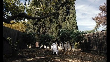 Spoonful of Sugar | movie | 2022 | Official Trailer