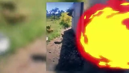 Most unbelieveable moments caught on camera | Gen Z Nation