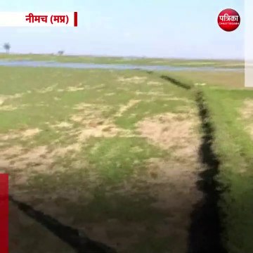 नीमच (मप्र): किसान के बाड़े में घुसा विशालकाय मगरमच्छ