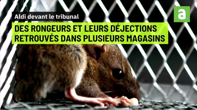 Surprenantes histoires judiciaires en Wallonie: des vacances payées par l'ONEM, Aldi poursuivi, un match de tennis à la prison...