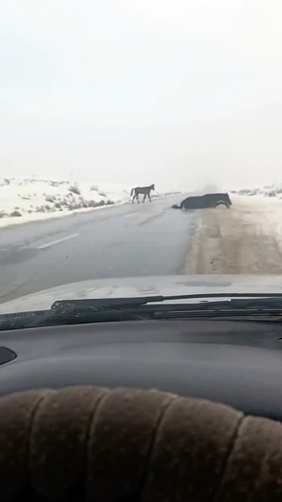 Personne n'arrive à traverser cette route verglacée