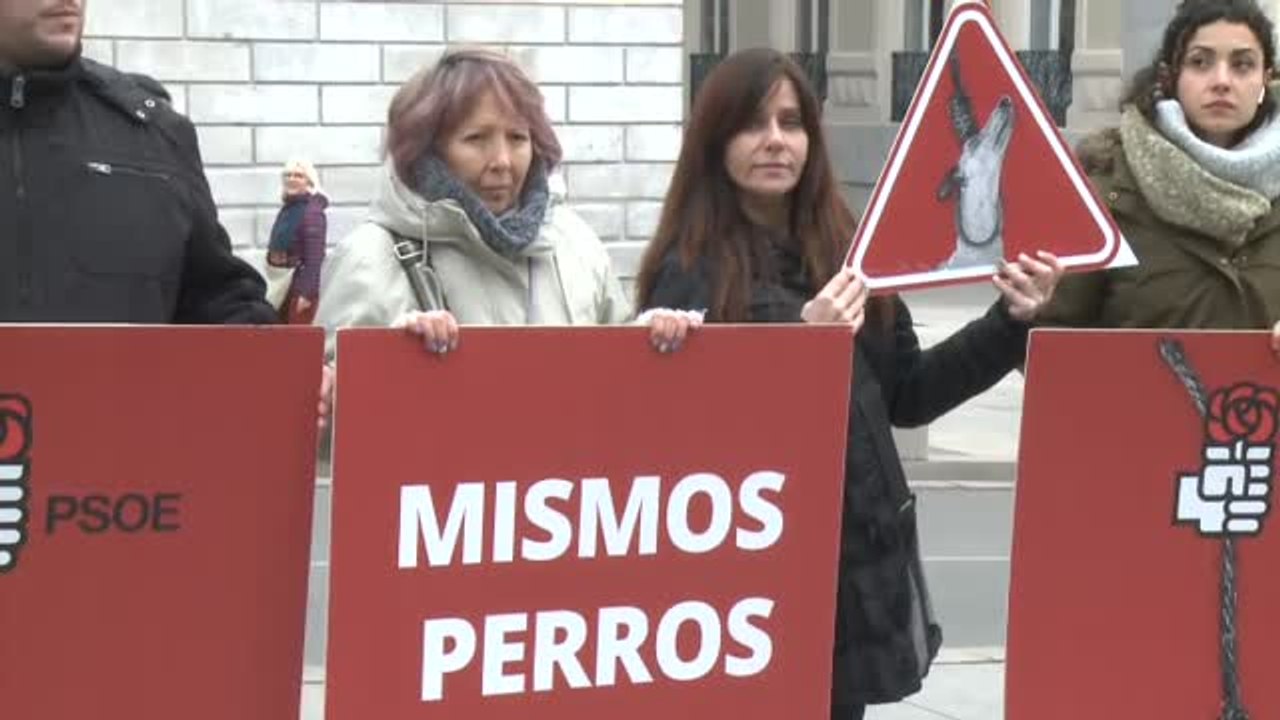 Una veintena de animalistas protestan frente al Congreso contra la Ley de Bienestar Animal