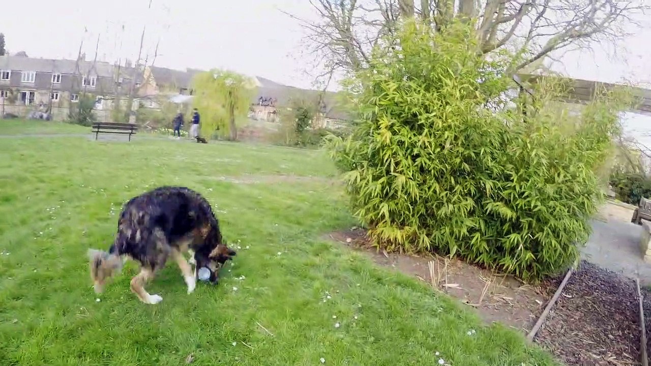 Rumble cleans up