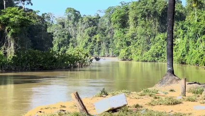 Brasilien vertreibt Goldgräber vom Land der Yanomami