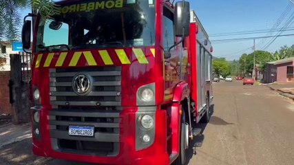 Três cachorrinhos caem em fossa e Corpo de Bombeiros realiza resgate