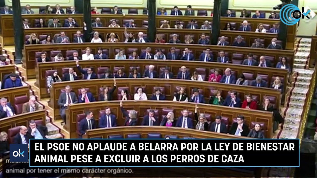El PSOE no aplaude a Belarra por la ley de bienestar animal pese a excluir a los perros de caza