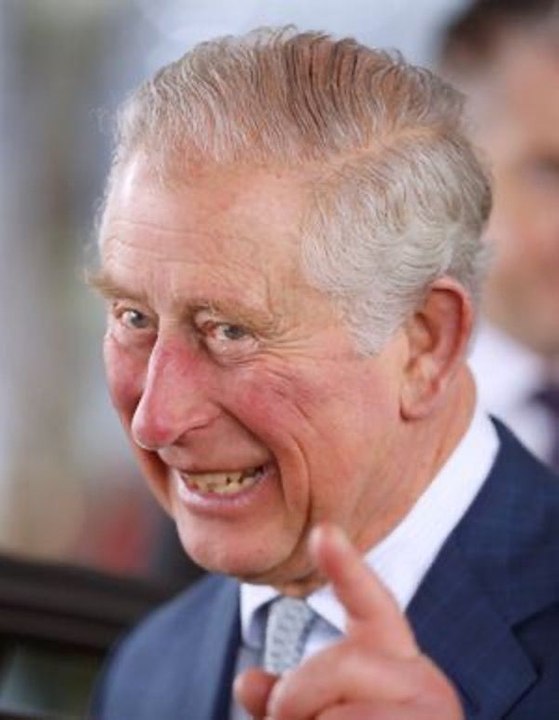 Bio : Prince Charles