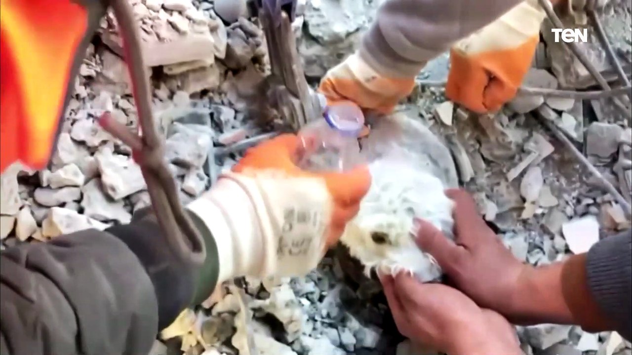 إنقاذ كلب من تحت الأنقاض في الإسكندرونة بتركيا...