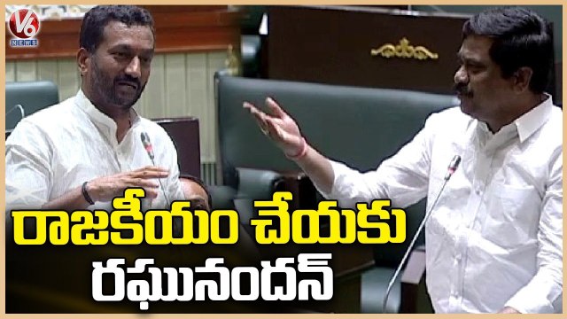 Vemula Prashanth Reddy Fires On Raghunandan Rao _ Telangana Assembly _ V6 News