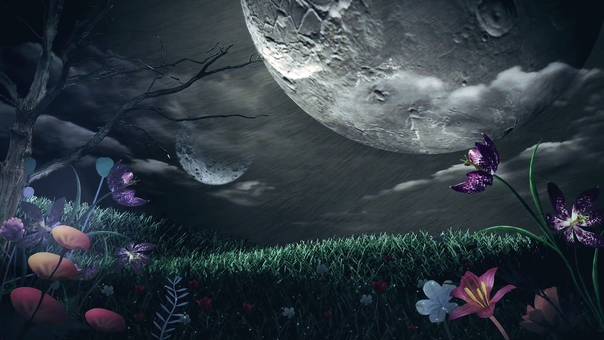 Deep Relaxing Music - Sleep Music, Meditation Music