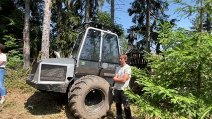 Le Département soutien la filière bois