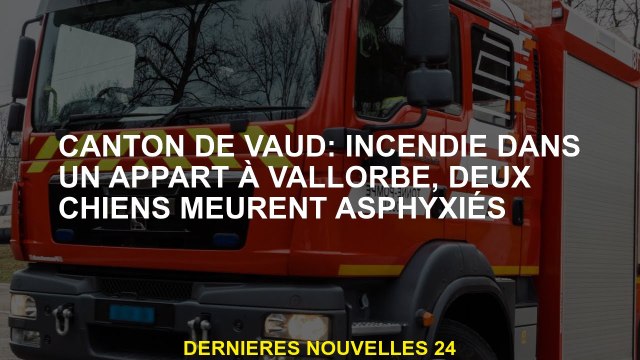 Canton de Vaud: feu dans un appartement à Vallorbe, deux chiens meurent asphyxiés