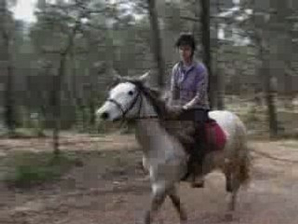 Paloma au galop