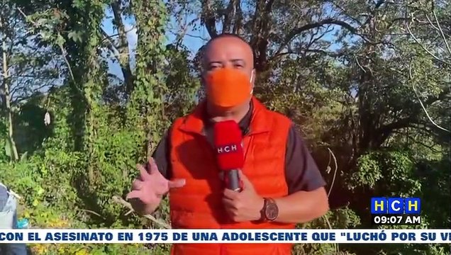 ¡Carnita de caballo! Alarmados pobladores por destazaderos clandestinos en Yojoa y Taulabé