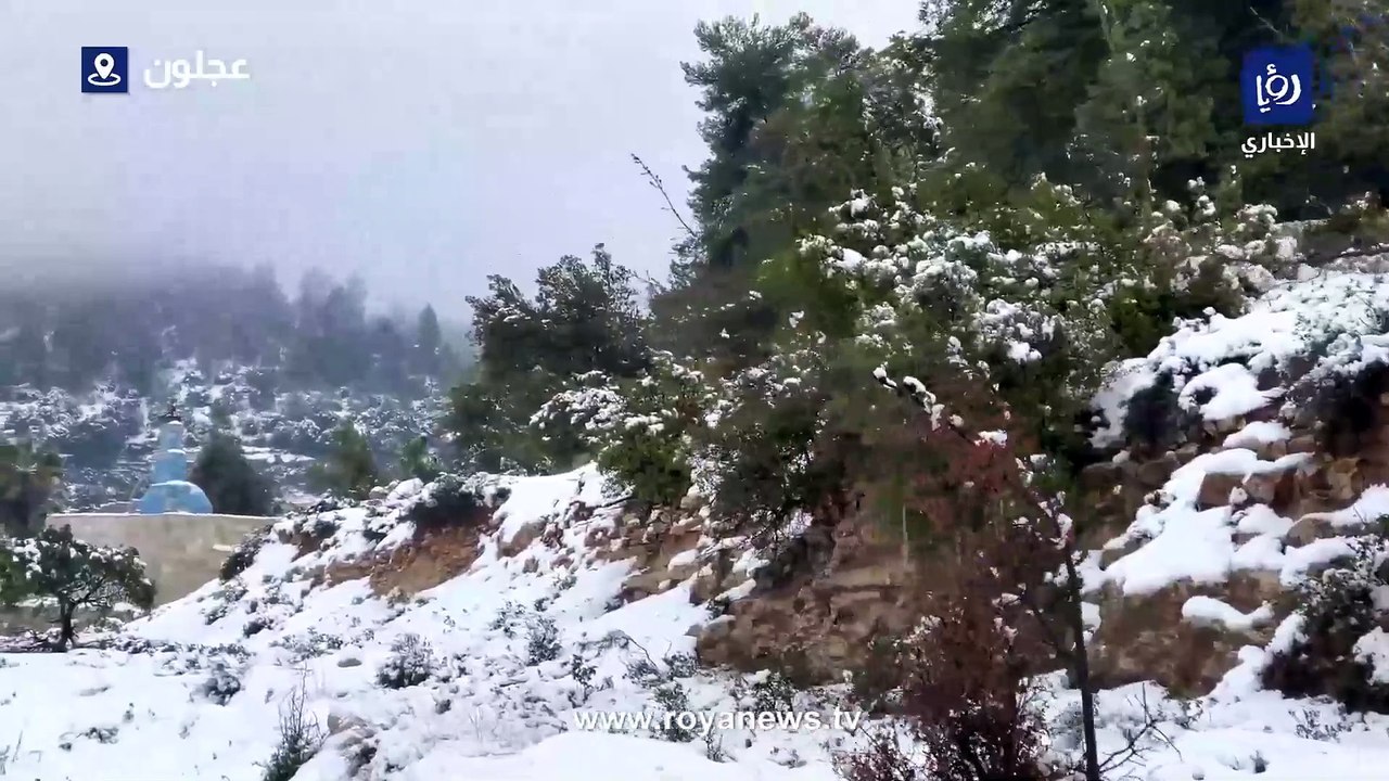 حصاد اليوم الثالث 8-2-2023 من المنخفض الجوي
