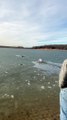 Man Saves Dog From Drowning in Frozen Lake