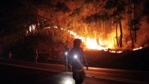 Chile decreta toque de recolher em áreas afetadas por incêndios