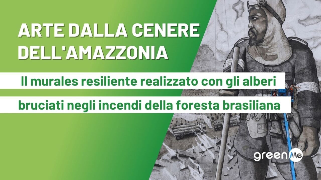 Il murales resiliente realizzato con gli alberi bruciati negli incendi della foresta brasiliana