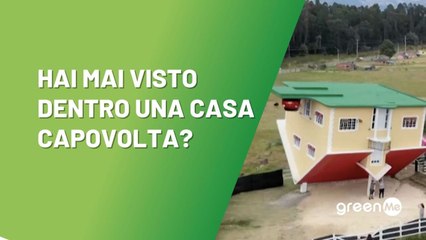 Hai mai visto dentro una casa capovolta?