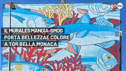 Il murales mangia-smog porta bellezza e colore a Tor Bella Monaca