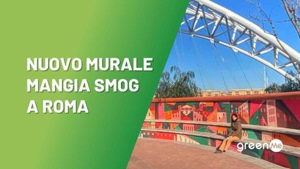 Nuovo murale mangia-smog a Roma