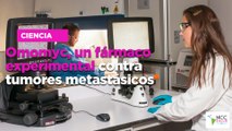 Omomyc, un fármaco experimental contra tumores metastásicos