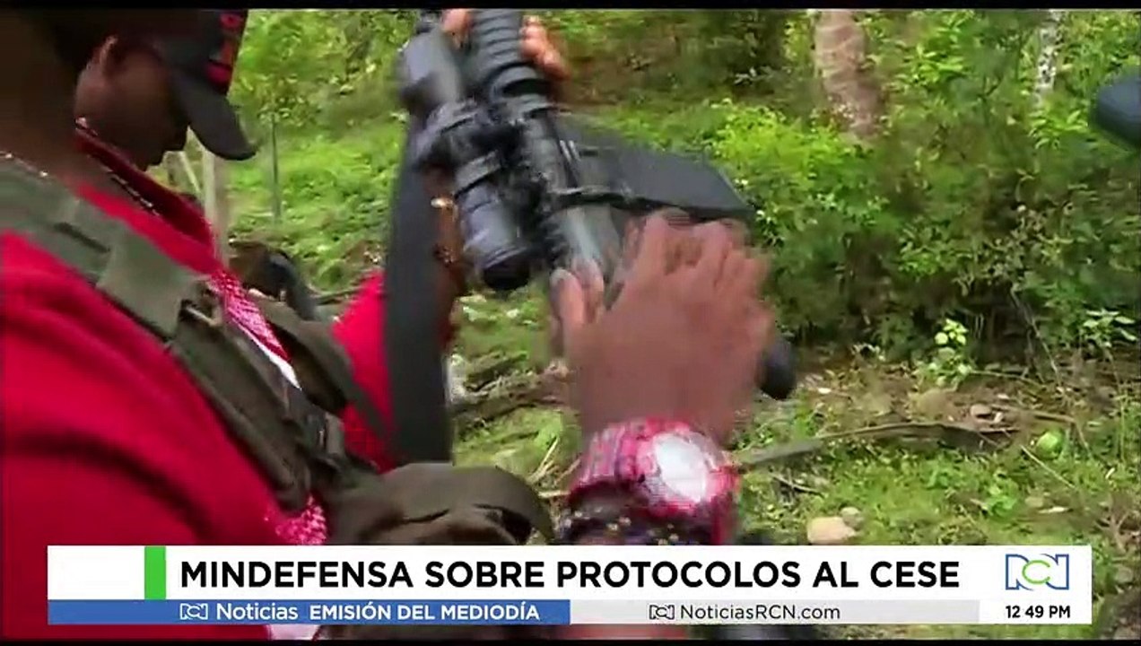 Mindefensa explicó condiciones del cese al fuego con las disidencias de las Farc