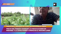 Precio del tabaco | Avanzan las negociaciones en Misiones  y la zafra podría comenzar el próximo lunes