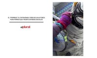El “perribus”: el entrañable vídeo de un autobús para perros que triunfa en redes sociales