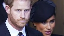 La serie Netflix di Harry e Meghan 