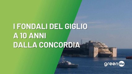 I fondali del Giglio a 10 anni dalla Concordia