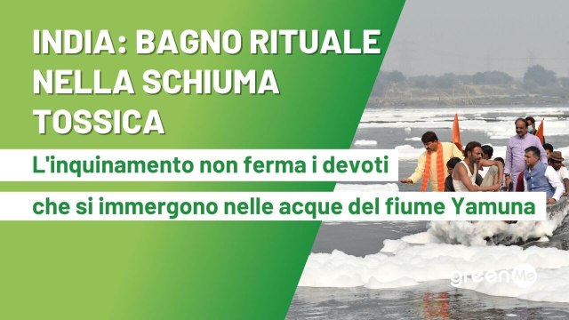 India: bagno rituale nella schiuma tossica. L'inquinamento non ferma i devoti che si immergono nelle acque sacre del fiume Yamuna