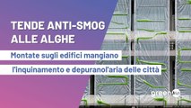 Tende antismog  dalle alghe. Montate sugli edifici mangiano l'inquinamento e depurano l'aria delle città