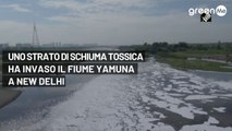 Uno strato di schiuma tossica ha invaso il fiume Yamuna a New Delhi